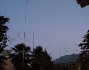 2014_10_17 IMG_0014 detail