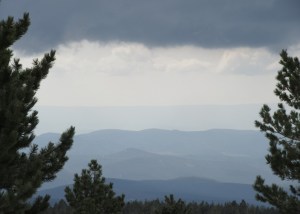 2015_03_24 Am Mt. Ventoux (F) (Dptm. Vaucluse)