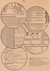 1979 Biomathematics script / Skriptum Biomathematik