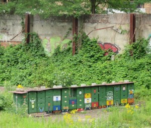 2015_07_11 Hamburg-Eppendorf, Bienenstöcke