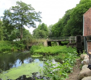 2015_07_18 Kuddewörde (LK Herzogtum Lauenburg), Grander Mühle