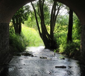 2015_07_18 Bei Trittau (Kreis Stormarn)