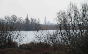 2015_03_19 Camargue (F)