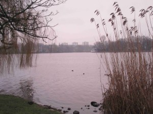 2015_12_31 Hamburg-Harvestehude, Außenalster