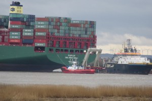 2016_02_08 Hetlingen (Kreis Pinneberg): "Indian Ocean" stuck in the Elbe river