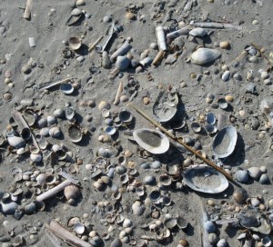 2016_03_17 St. Peter-Ording (Kreis Nordfriesland)