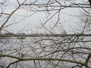 2016_04_03 Landkreis Diepholz: Dümmer-See