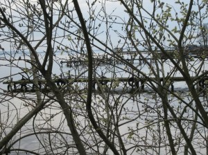 2016_04_03 Landkreis Diepholz: Dümmer-See