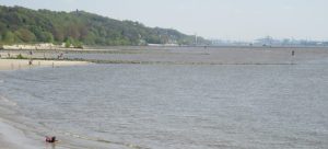 2016_05_06 Hamburg-Rissen, Wittenbergener Ufer