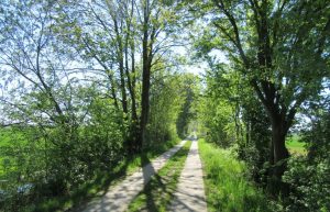 2016_05_08 Hamburg-Kirchwerder/-Neuengamme: NSG Kirchwerder Wiesen