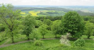 2016_05_20 Landkreis Marburg-Biedenkopf: vom Frauenberg Richtung Amöneburg