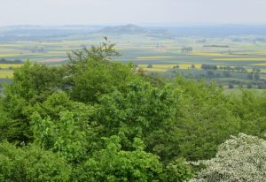 2016_05_20 Landkreis Marburg-Biedenkopf: Blick vom Frauenberg aus nach Amöneburg