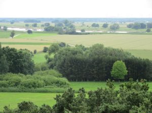 2016_06_18 Elbe bei Jerichow (Sachsen-Anhalt)