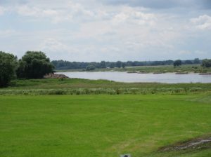 2016_06_18 Jerichow (Sachsen-Anhalt): Elbe mit Wiesenland