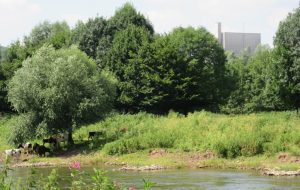 2016_07_18 Beverungen (Kreis Höxter): ehem. Kernkraftwerk Würgassen