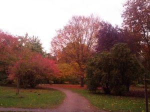 2016_10_29 Hamburg-Winterhude, Stadtpark