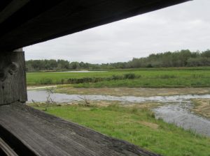 2016_10_07 Naturstation Katinger Watt