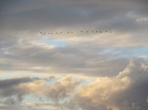 2016_10_08 St.Peter-Ording