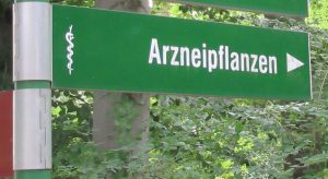 2016_08_15 Berlin, Botanischer Garten