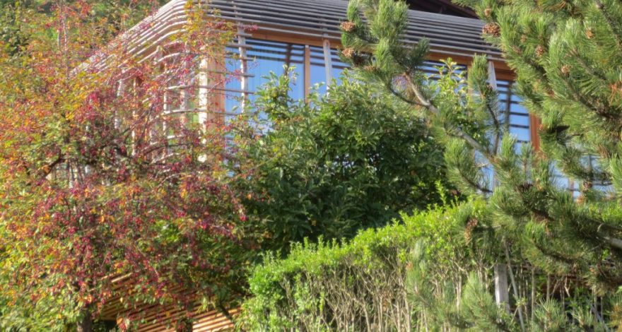 2014_10_20-img_0143a-fincube