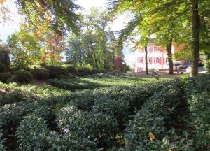 2014_10_18 Ascona (CH), Monte Verità: Tee-Plantage