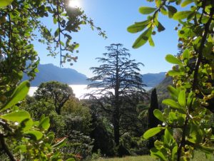 2014_10_23 Menaggio, Loveno (I): Villa Vigoni