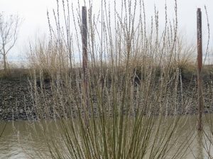 2014_03_02 Hamburg, Elbufer