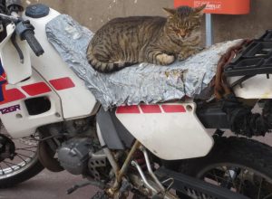 2014_03_10 Marseille (F)