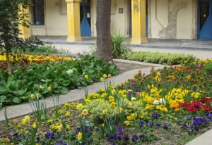 2014_03_20 Arles (F)