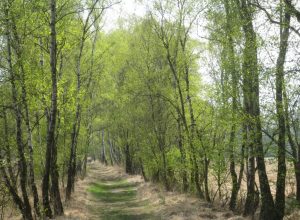 2014_04_20 Hamburg, Duvenstedter Brook