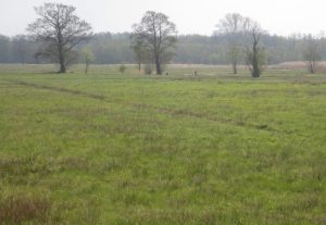 2014_04_20 Hamburg, Duvenstedter Brook