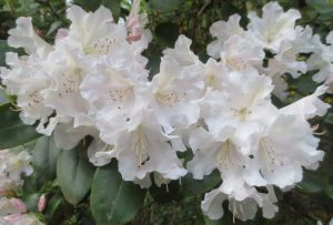 2014_04_27 Hamburg, Stadtpark