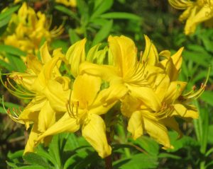 2014_04_27 Hamburg, Stadtpark