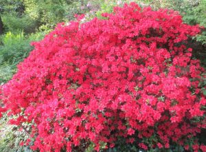 2014_04_27 Hamburg, Stadtpark