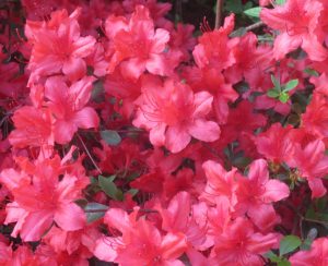 2014_04_27 Hamburg, Stadtpark