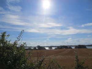 2014_08_15 Radeltour an der Schlei