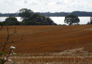 2014_08_15 Radeltour an der Schlei