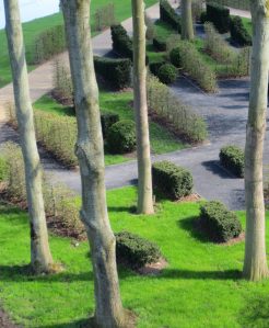 2013_04_28 Hamburg-Wilhelmsburg: igs