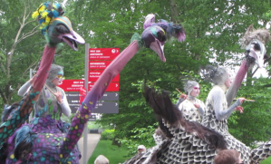 2013_05_19 Hamburg-Wilhelmsburg, igs