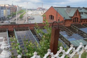 2013_06_11 Helsinki (SF), von Halbinsel Katajanokka nach N