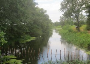 2013_08_03 Im Wendland