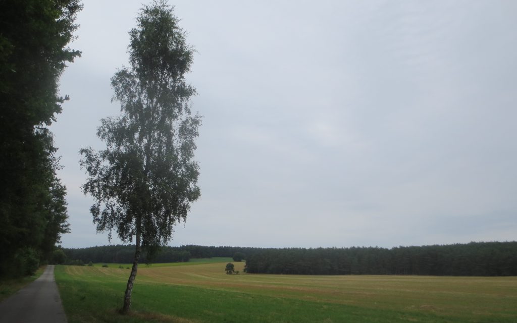 2013_08_04 Im Wendland