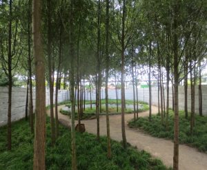 2013_08_27 Hamburg-Wilhelmsburg, igs