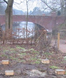 2017_01_21img_8394a