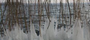 2011_02_26 Plöner See