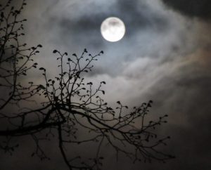 2017_04_10 Hamburg-Winterhude, Vollmond