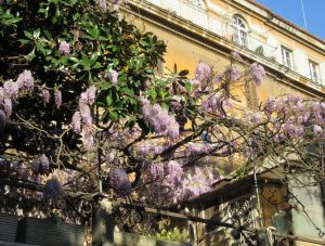 2017_03_28 Roma (I), Via Margutta