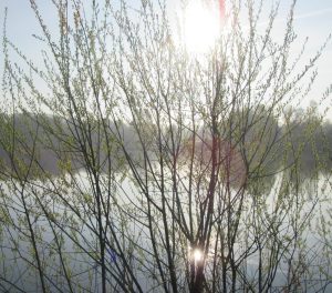 2017_04_09 Hamburg-Winterhude, Stadtparksee