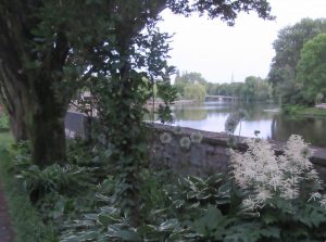 2017_06_04 Hamburg-Eppendorf: Meenkwiese-Paradise