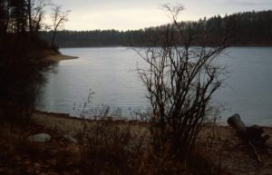 1988_11_17 Concord (MA): Walden Pond